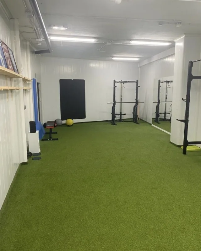 Sala del centro con suelo de césped artificial, rack con poleas y paneles de pared